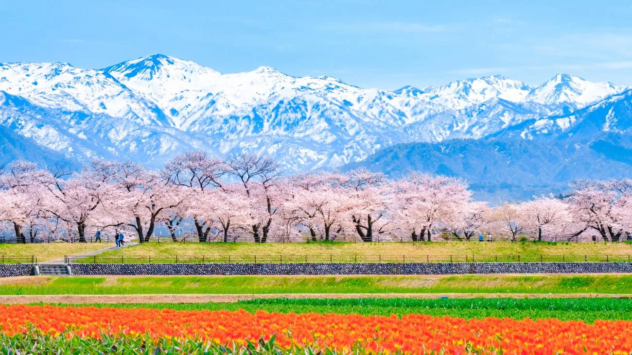 TOYAMA